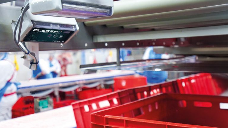 classifaibox-bei-brand Image description